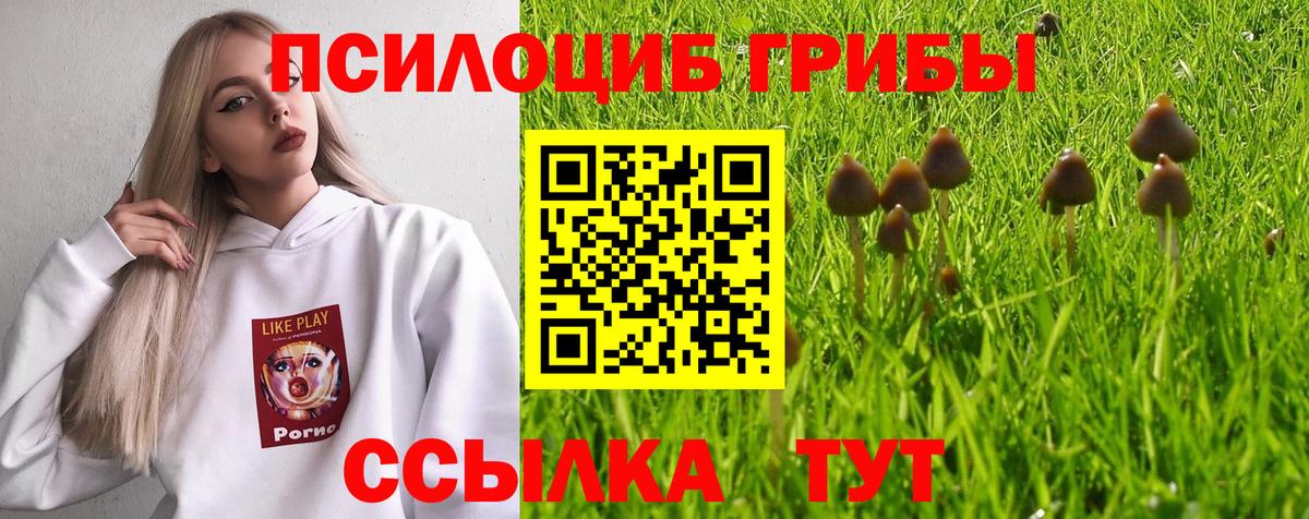 Хасавюрт  Псилоцибиновые грибы мицелий  закладка  Вход с VPN 