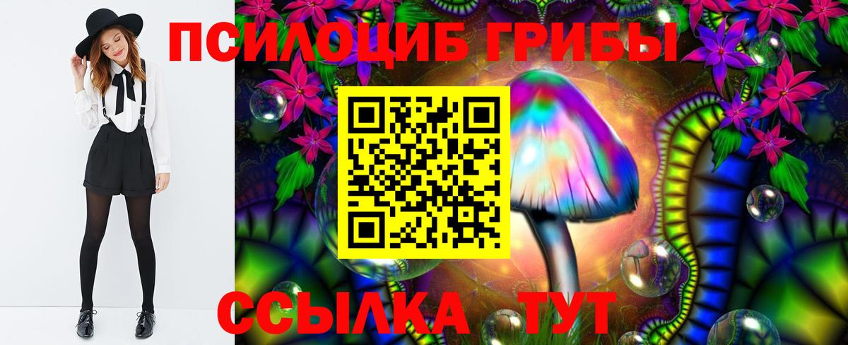 Псилоцибиновые грибы мицелий Хасавюрт