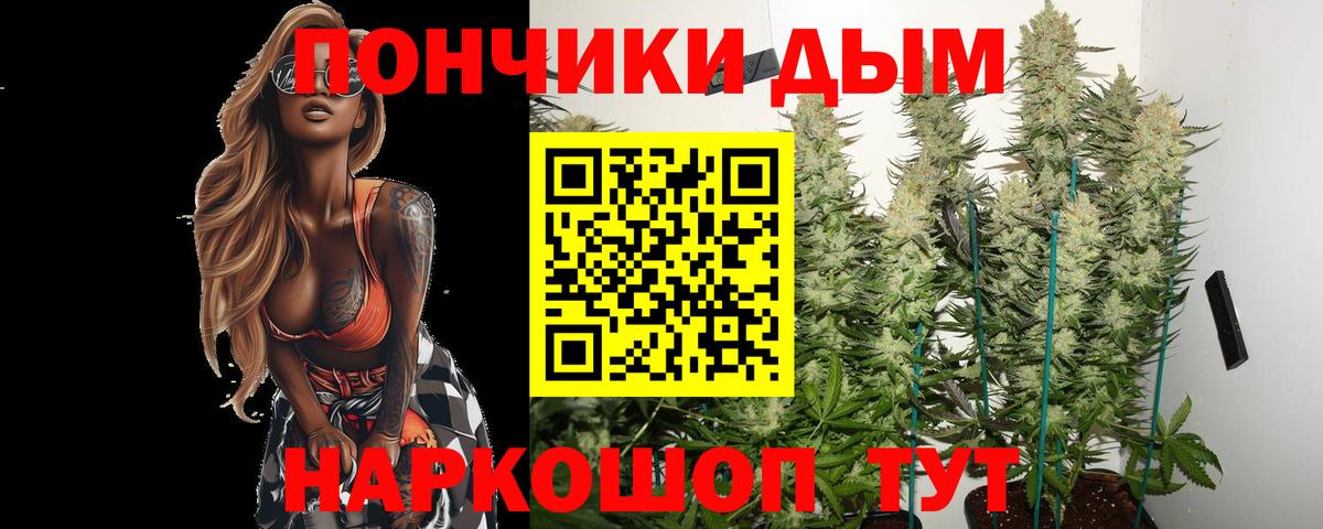 Шишки марихуана марихуана Хасавюрт